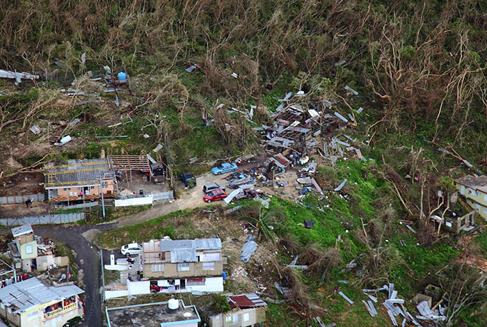 Thousands of homes suffered varying degrees of damage while large swaths of vegetation were shredded by the hurricane's violent winds