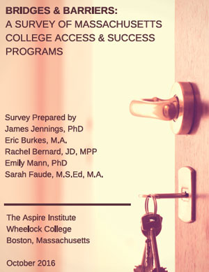 Bridges & Barriers report cover