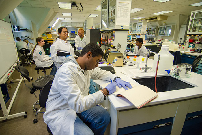 Student works in Mass Bay Community College Biotechnology lab